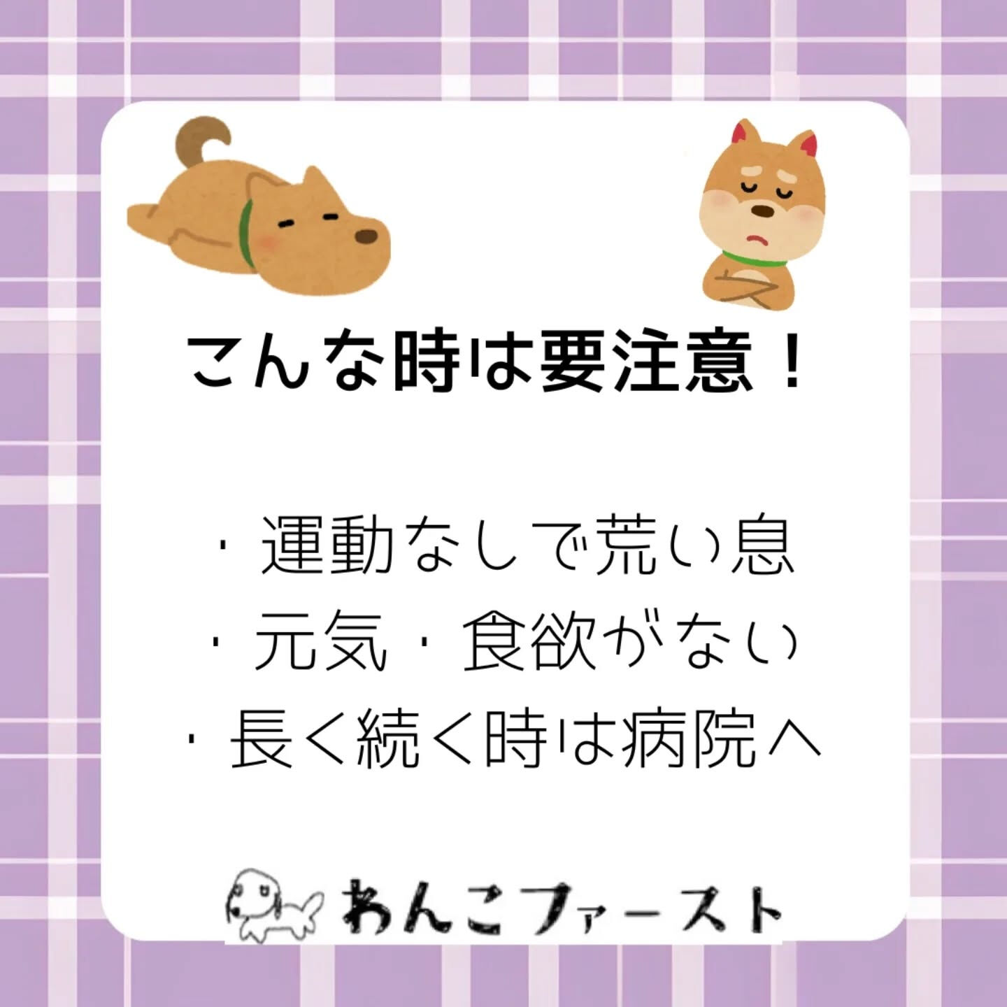 横浜市青葉区のペットシッターわんこファーストです♪