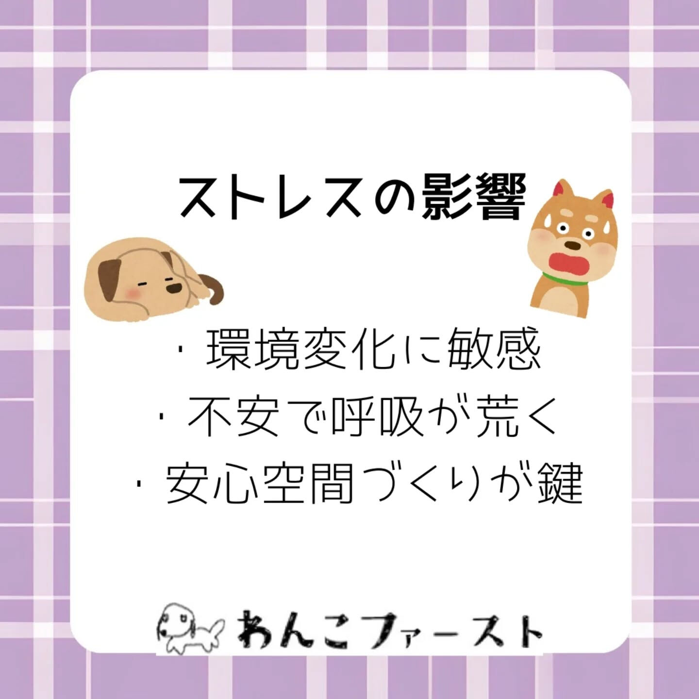 横浜市青葉区のペットシッターわんこファーストです♪