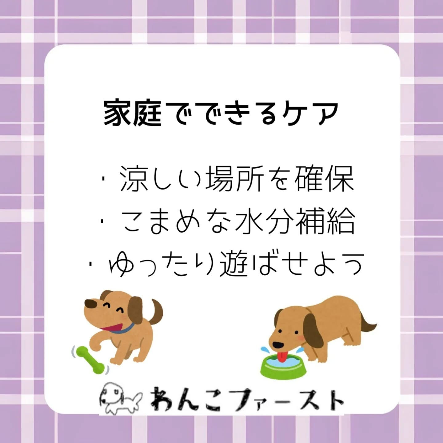 横浜市青葉区のペットシッターわんこファーストです♪