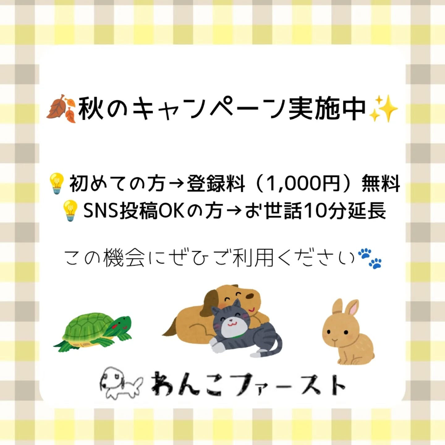 横浜市青葉区のペットシッターわんこファーストです♪
