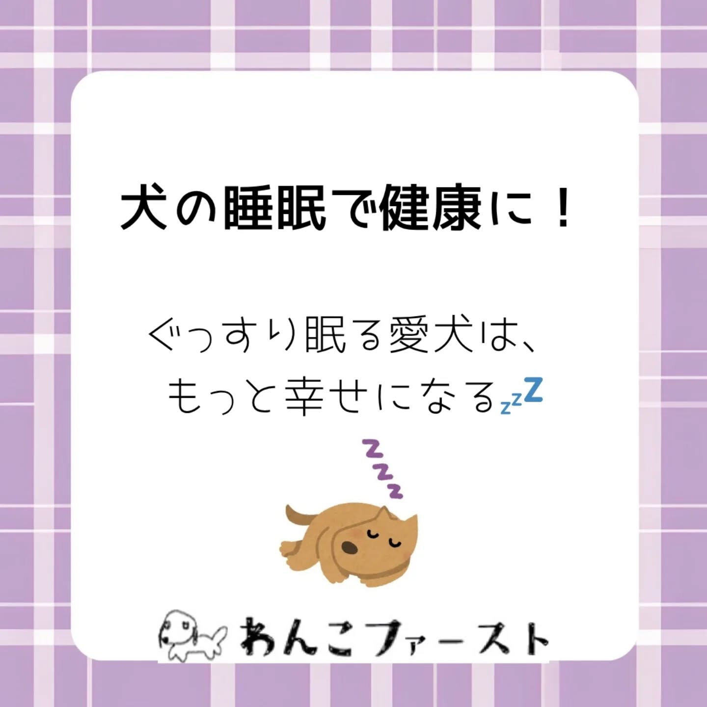横浜市青葉区のペットシッターわんこファーストです♪