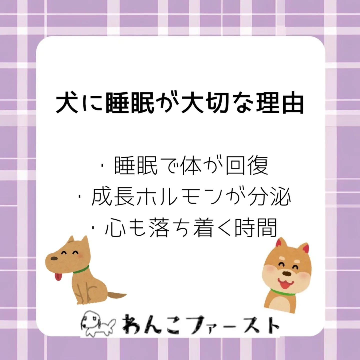 横浜市青葉区のペットシッターわんこファーストです♪