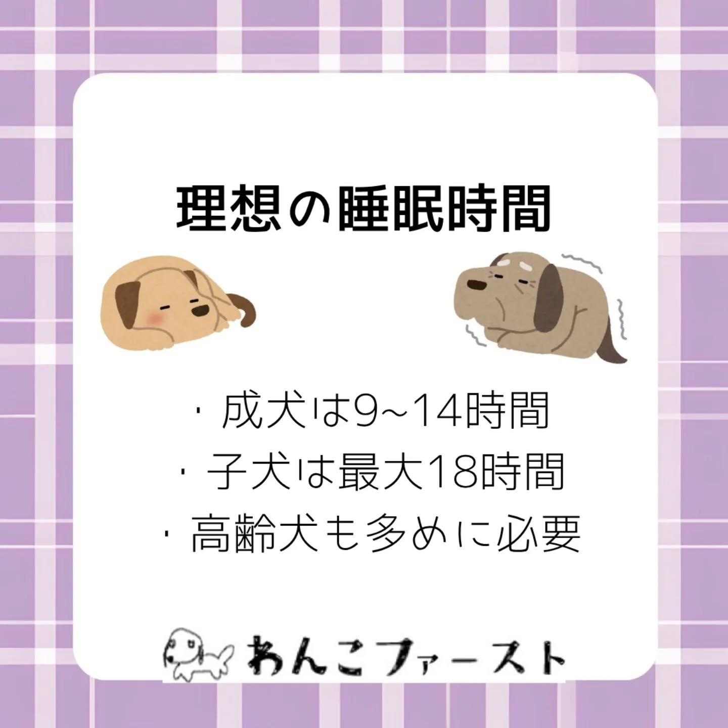 横浜市青葉区のペットシッターわんこファーストです♪