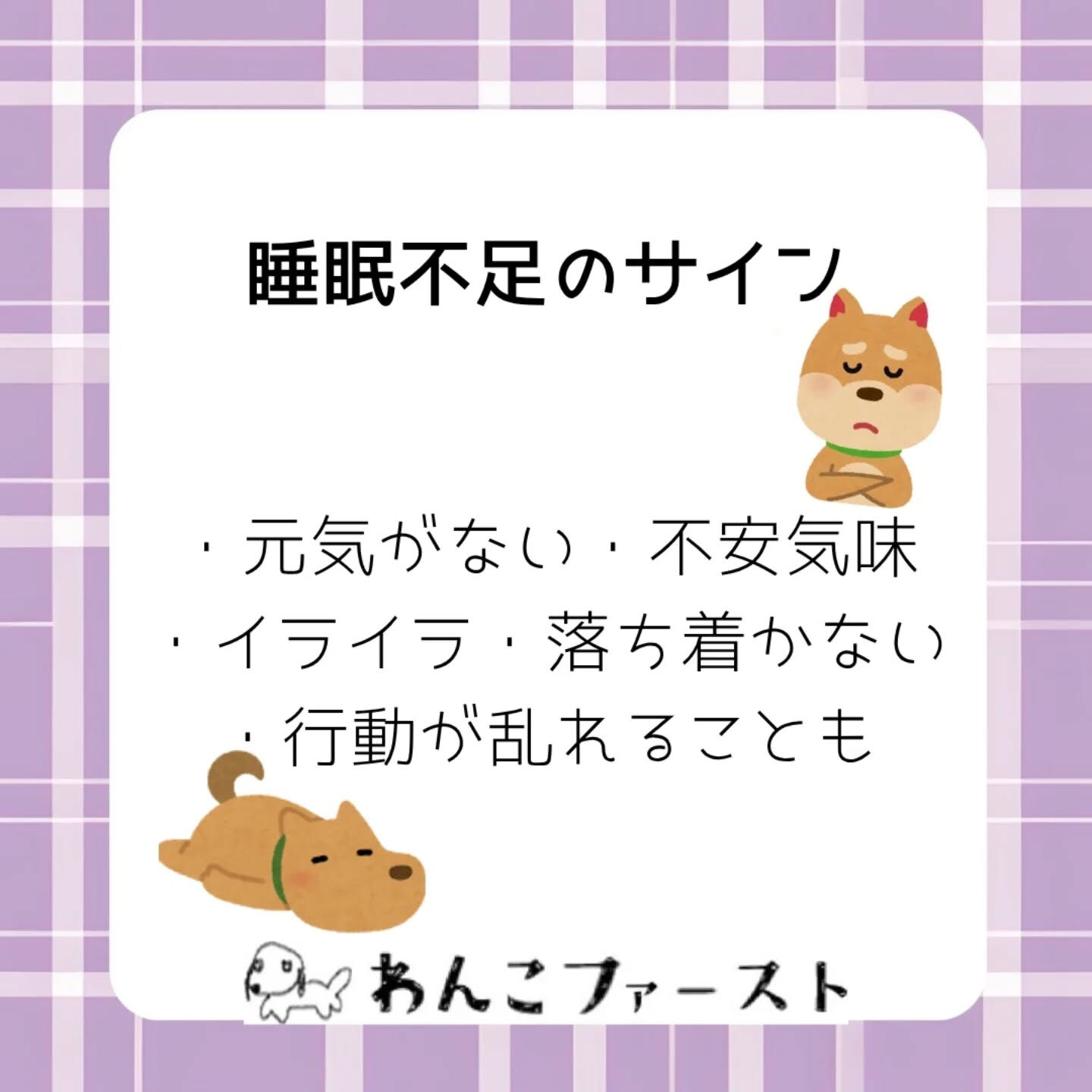 横浜市青葉区のペットシッターわんこファーストです♪