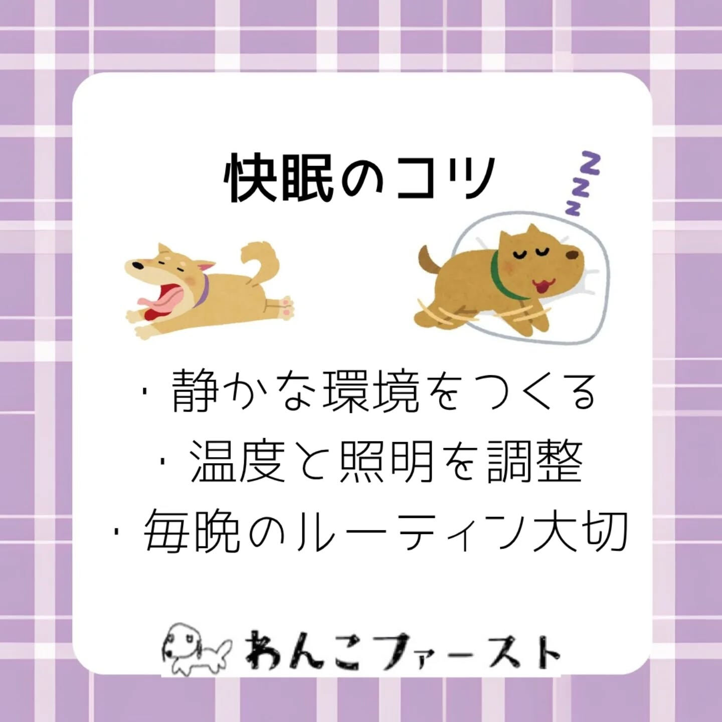 横浜市青葉区のペットシッターわんこファーストです♪
