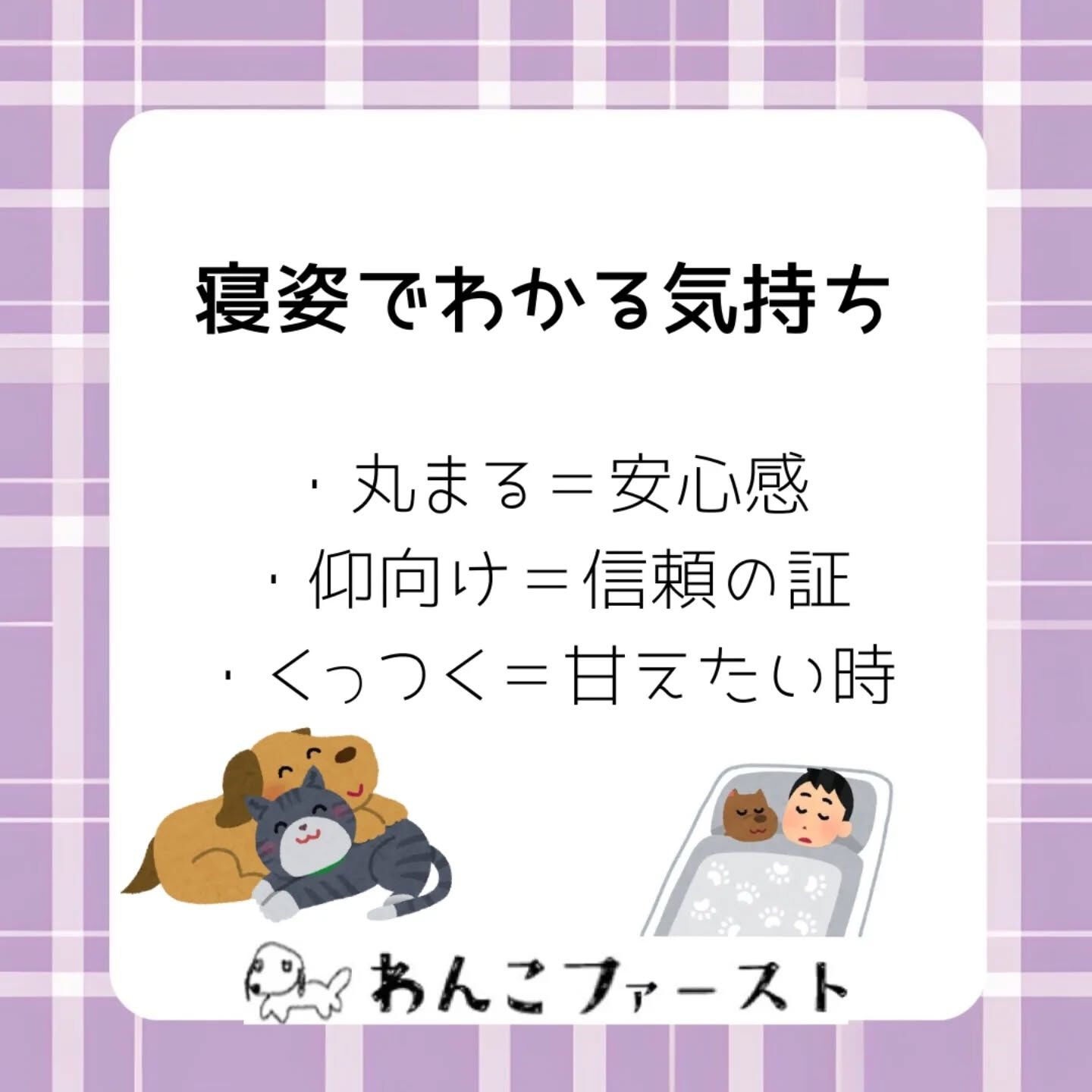横浜市青葉区のペットシッターわんこファーストです♪