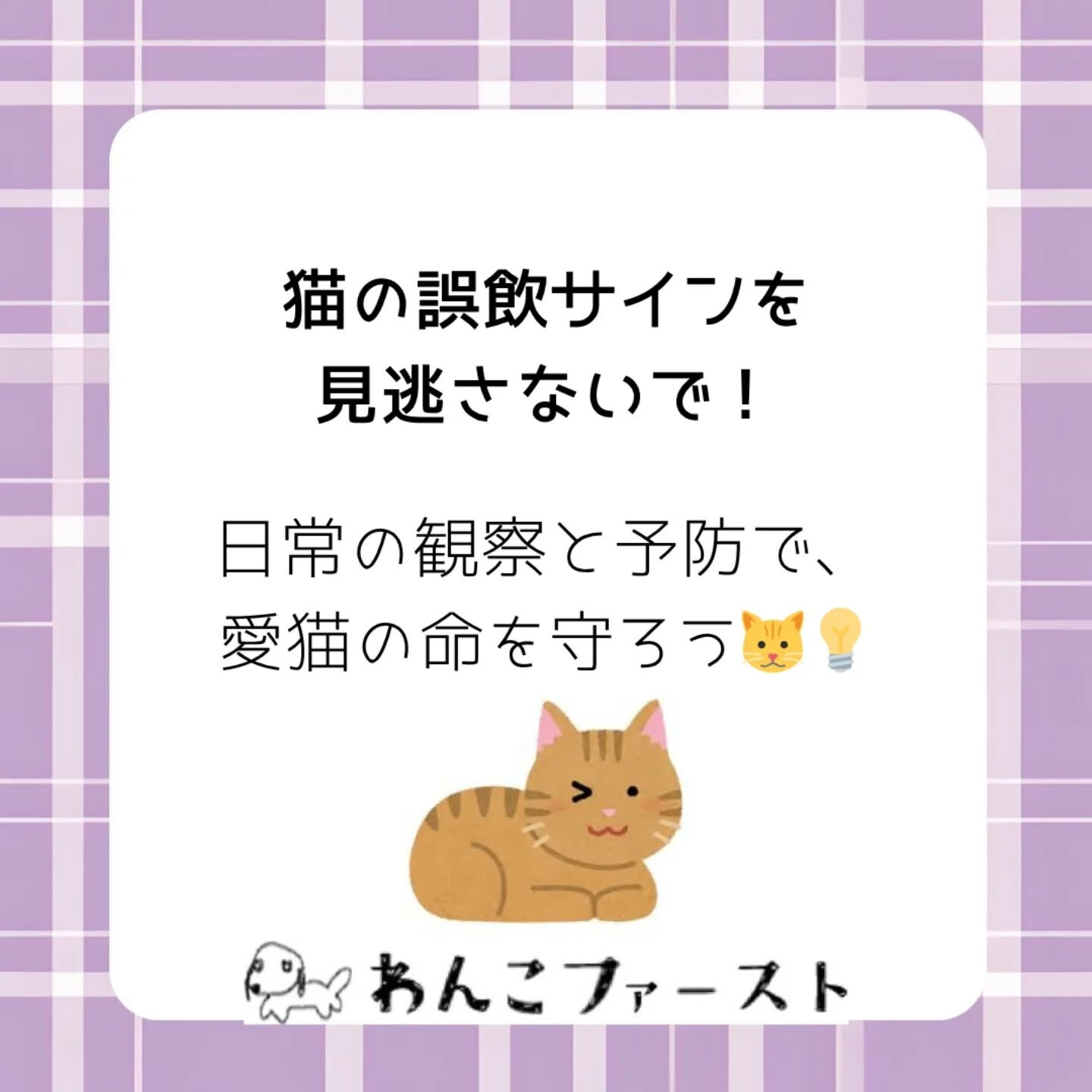 横浜市青葉区のペットシッターわんこファーストです♪