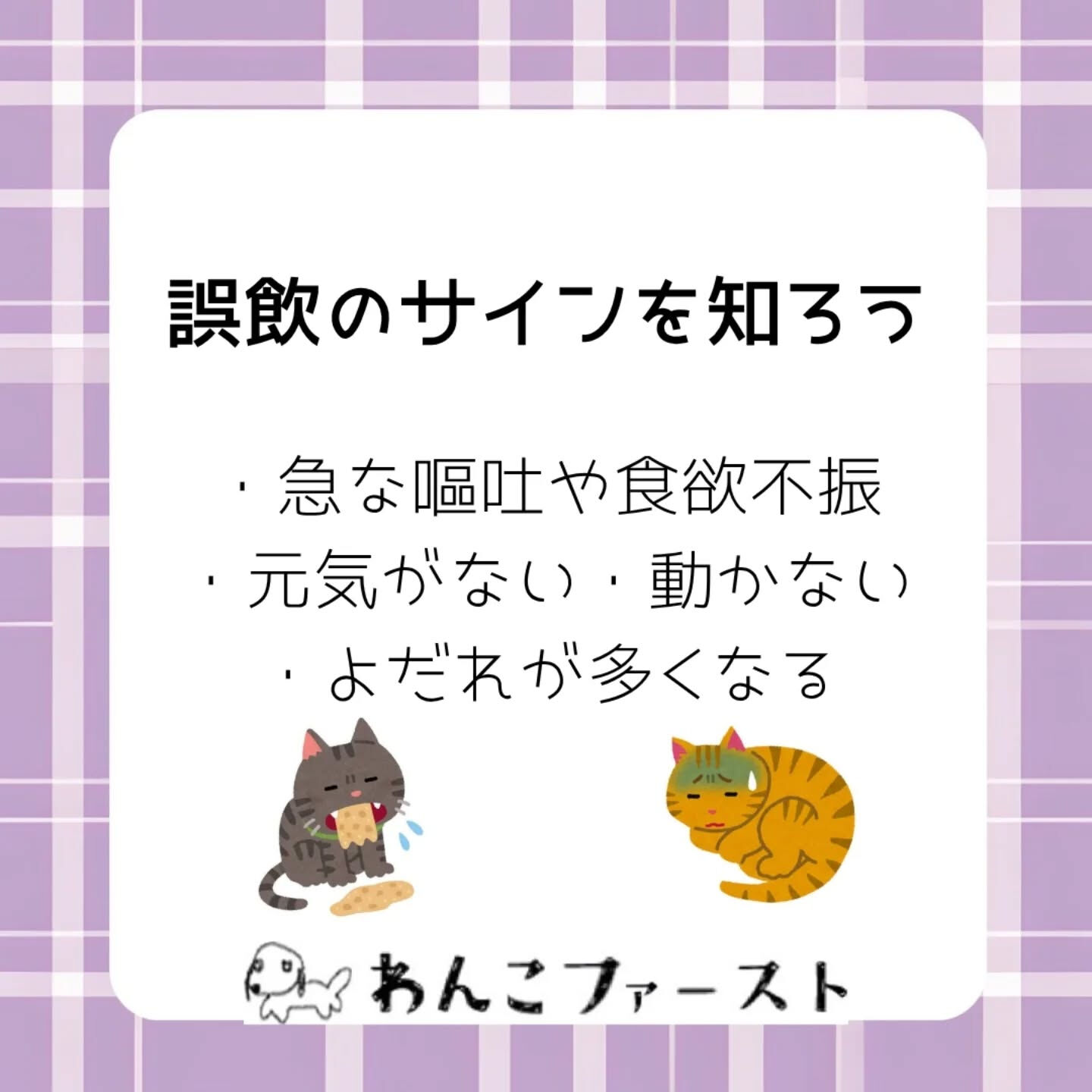 横浜市青葉区のペットシッターわんこファーストです♪