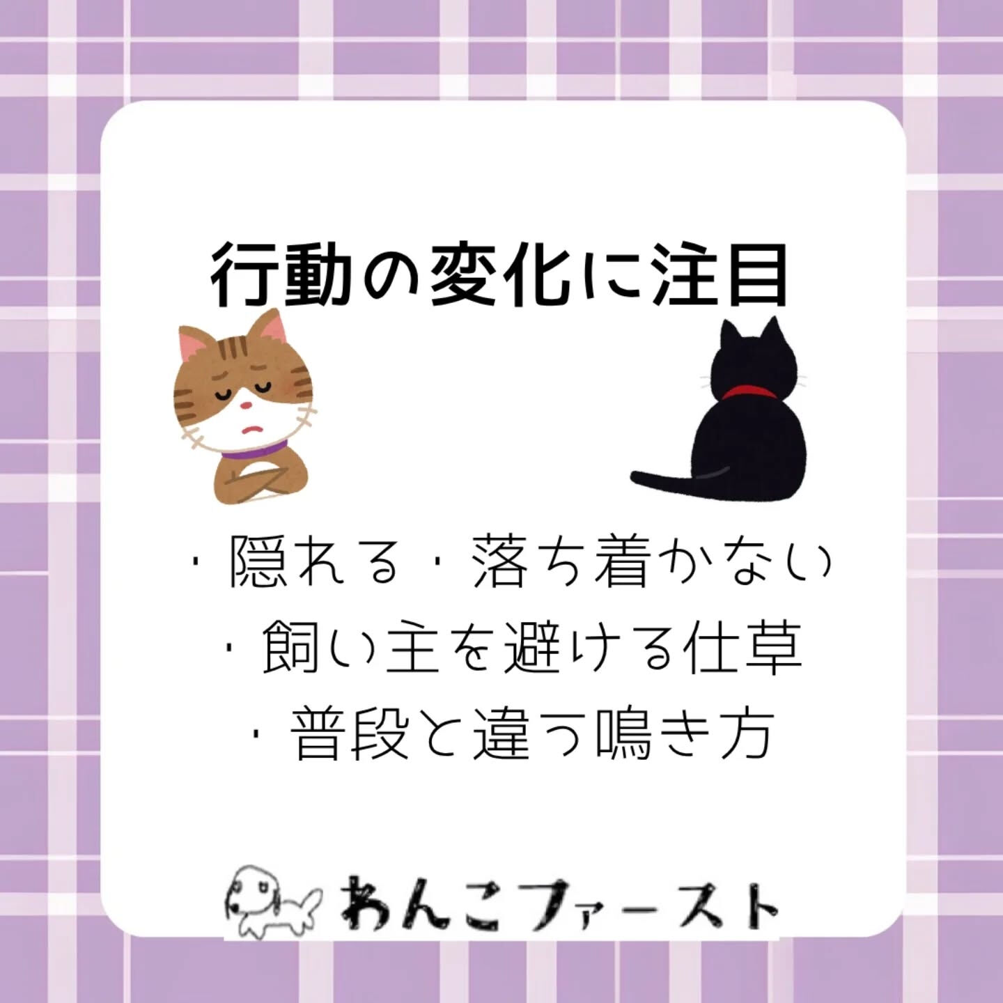 横浜市青葉区のペットシッターわんこファーストです♪