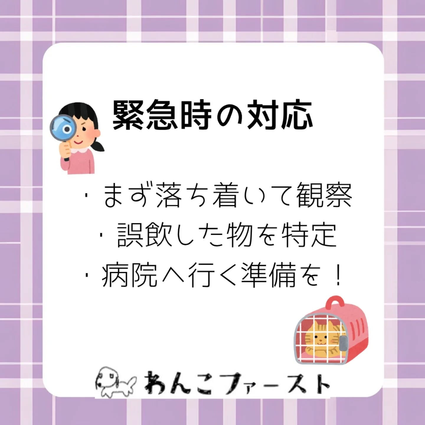 横浜市青葉区のペットシッターわんこファーストです♪