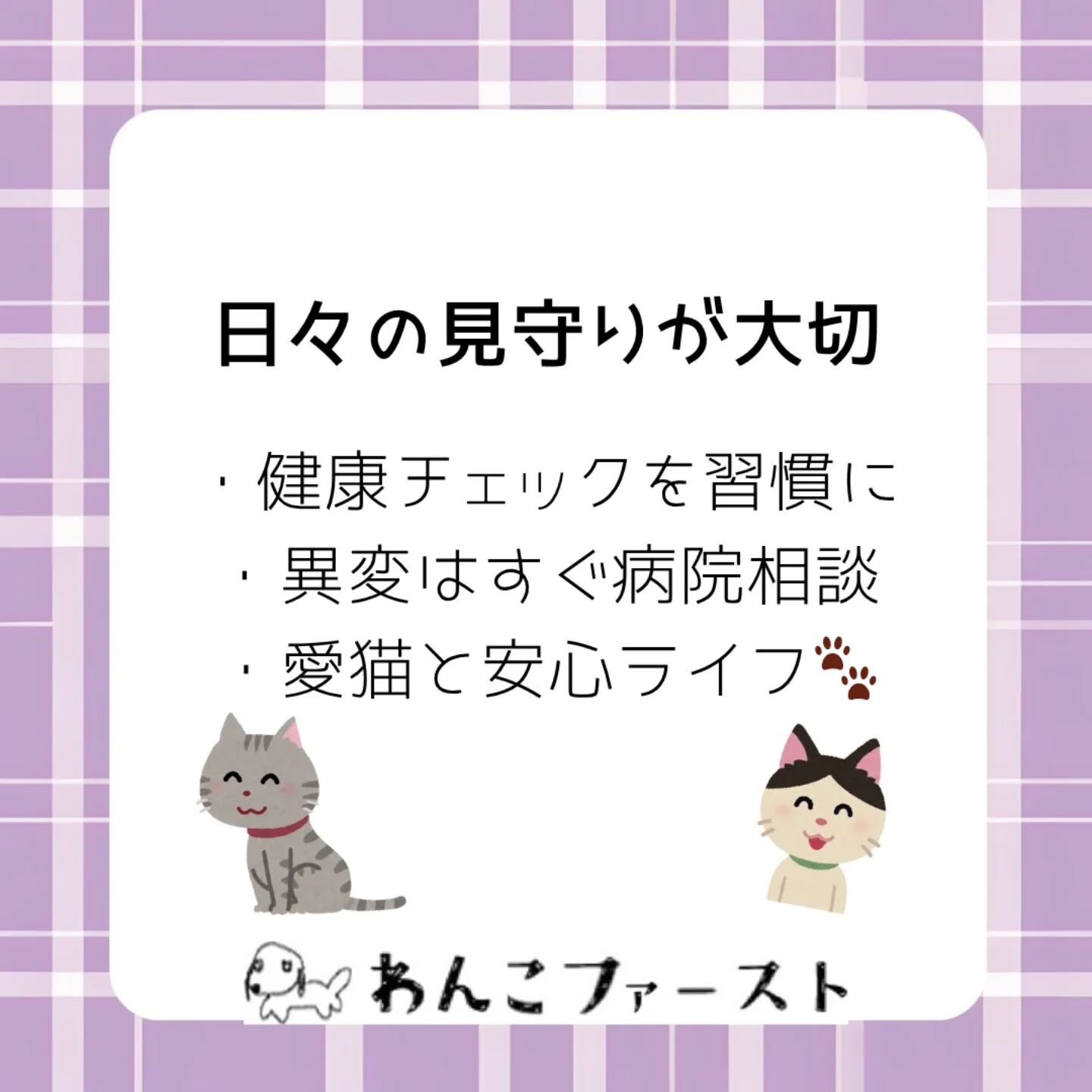 横浜市青葉区のペットシッターわんこファーストです♪