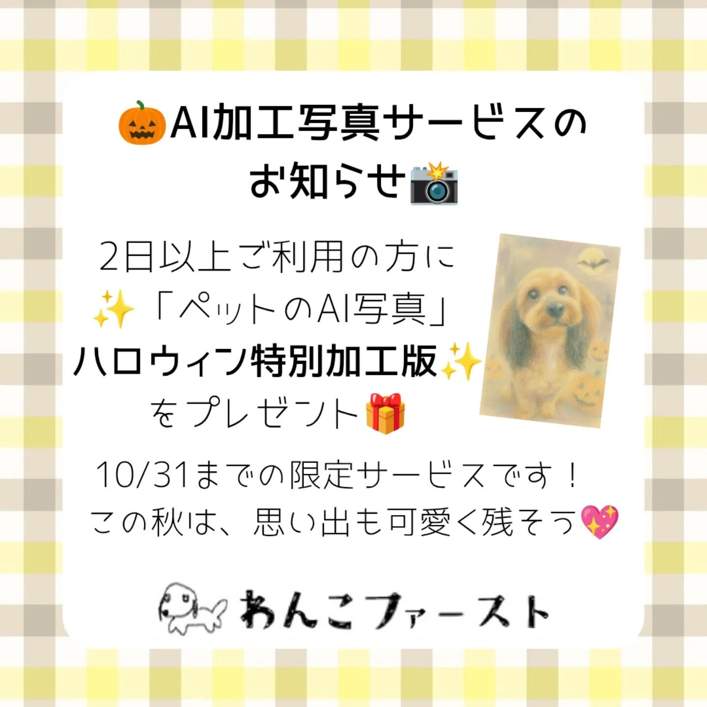 横浜市青葉区のペットシッターわんこファーストです♪