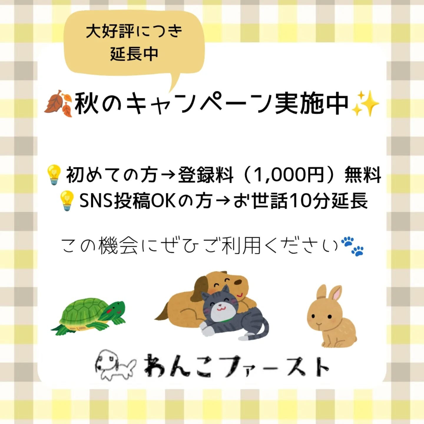 横浜市青葉区のペットシッターわんこファーストです♪