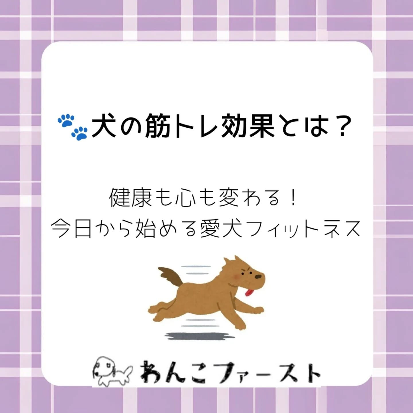横浜市青葉区のペットシッターわんこファーストです♪