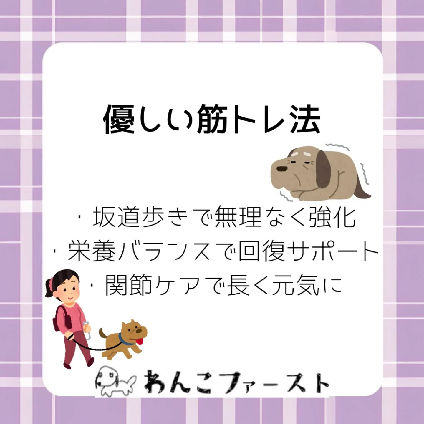 横浜市青葉区のペットシッターわんこファーストです♪