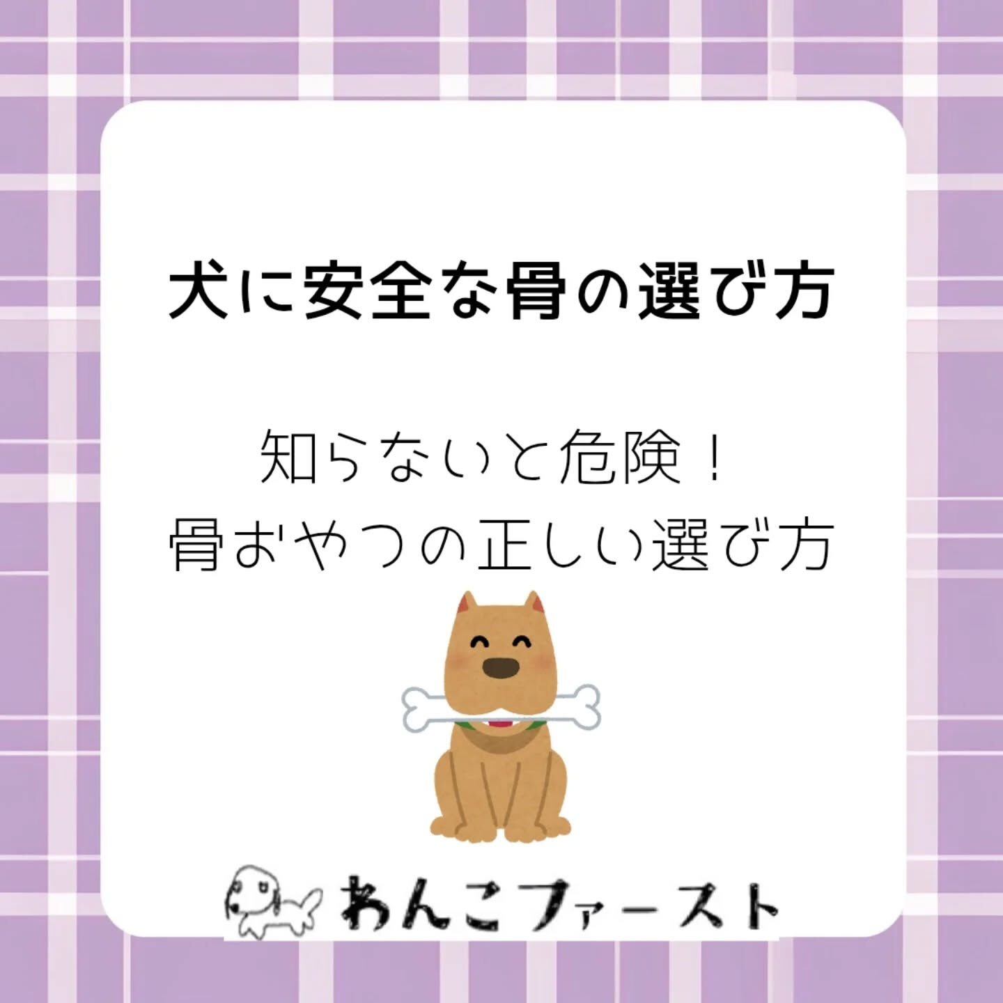 横浜市青葉区のペットシッターわんこファーストです♪
