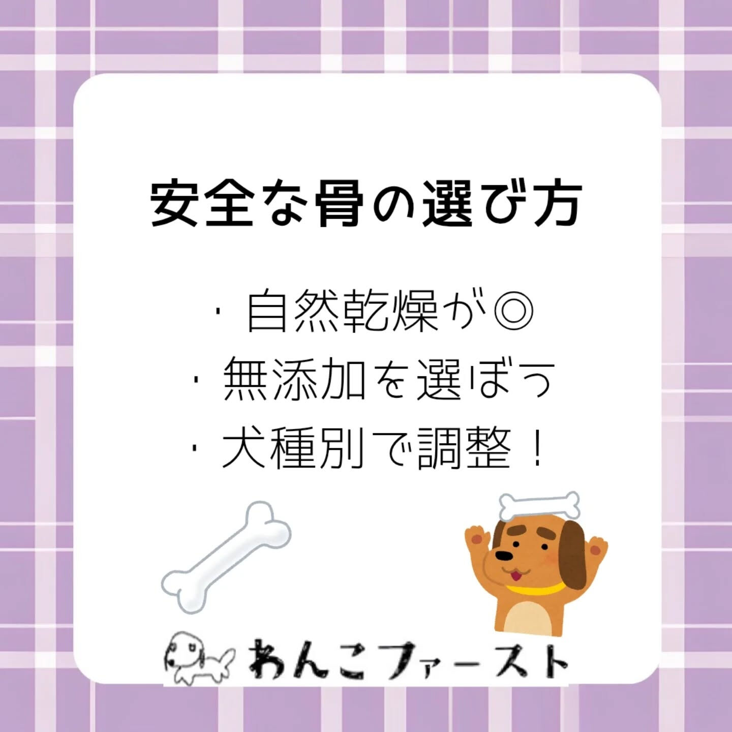 横浜市青葉区のペットシッターわんこファーストです♪
