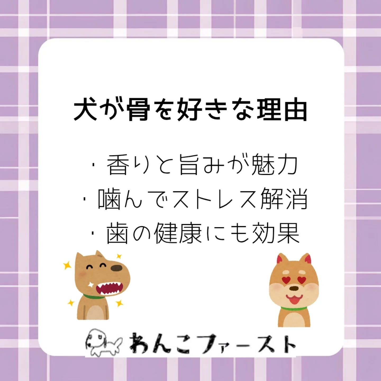 横浜市青葉区のペットシッターわんこファーストです♪