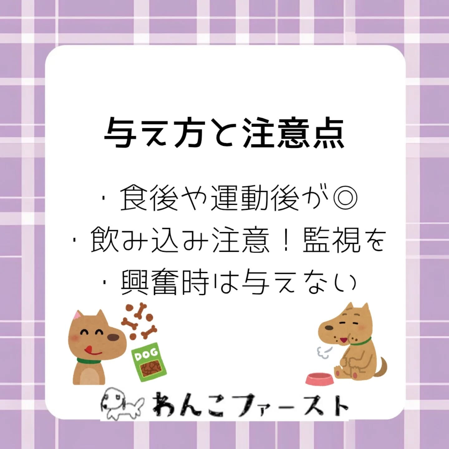 横浜市青葉区のペットシッターわんこファーストです♪