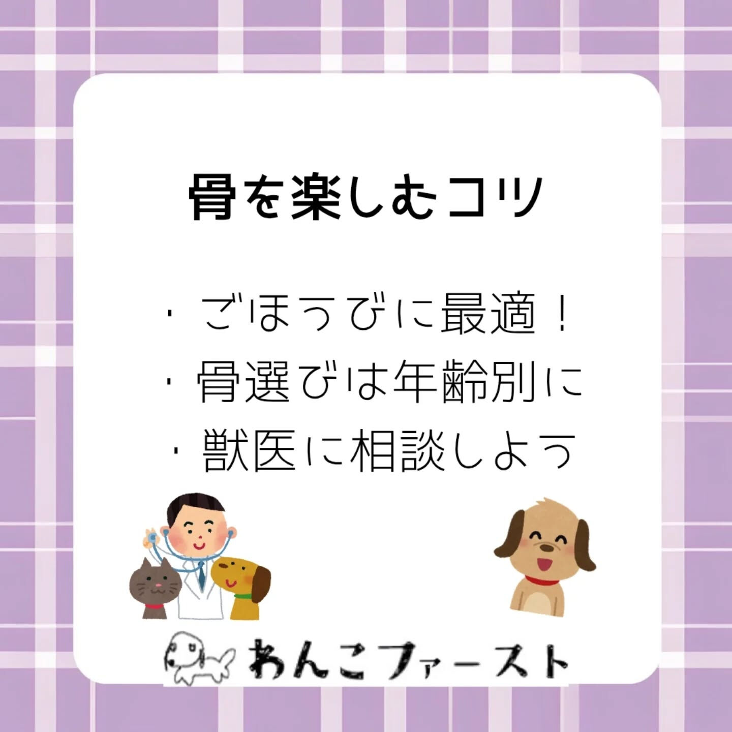 横浜市青葉区のペットシッターわんこファーストです♪
