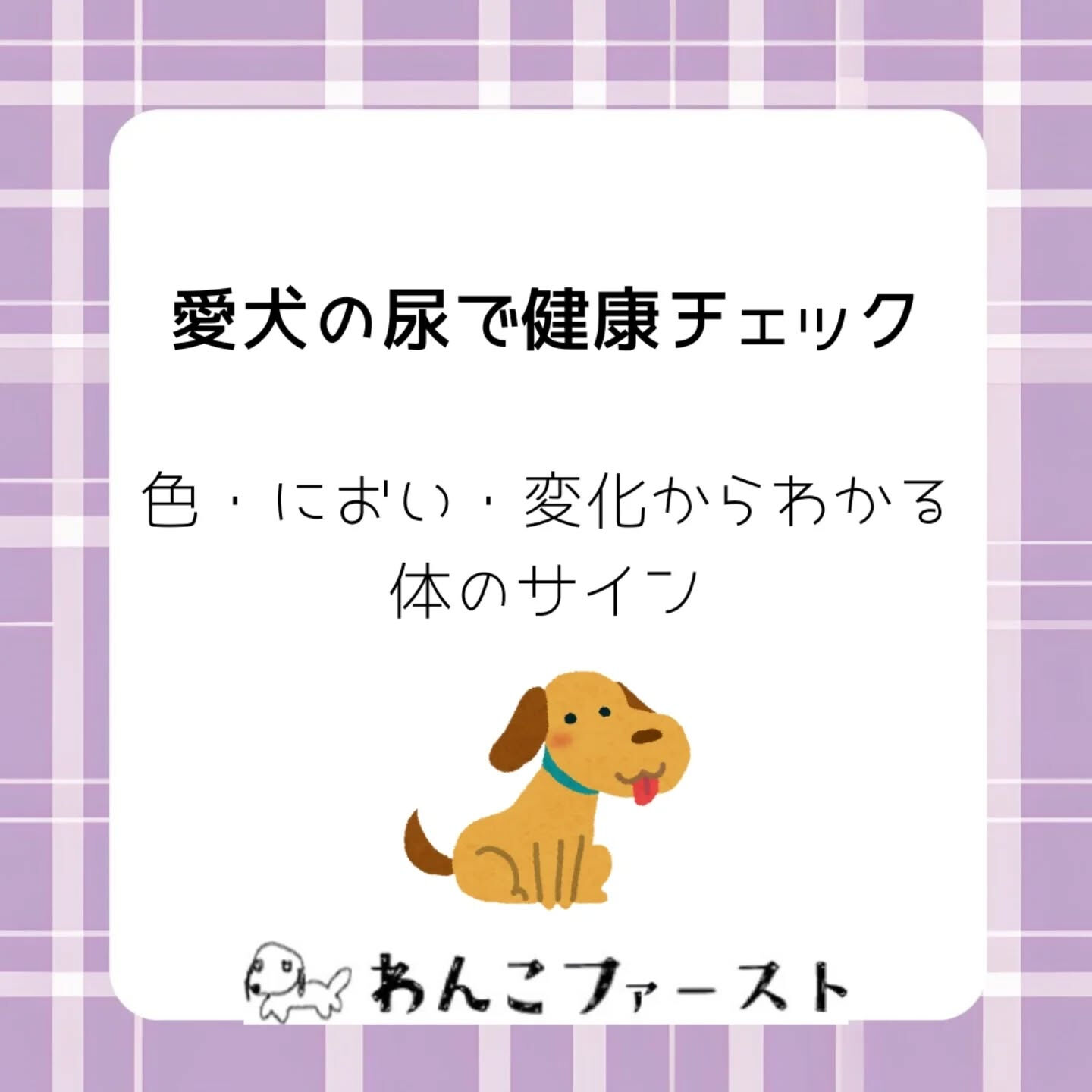 横浜市青葉区のペットシッターわんこファーストです♪