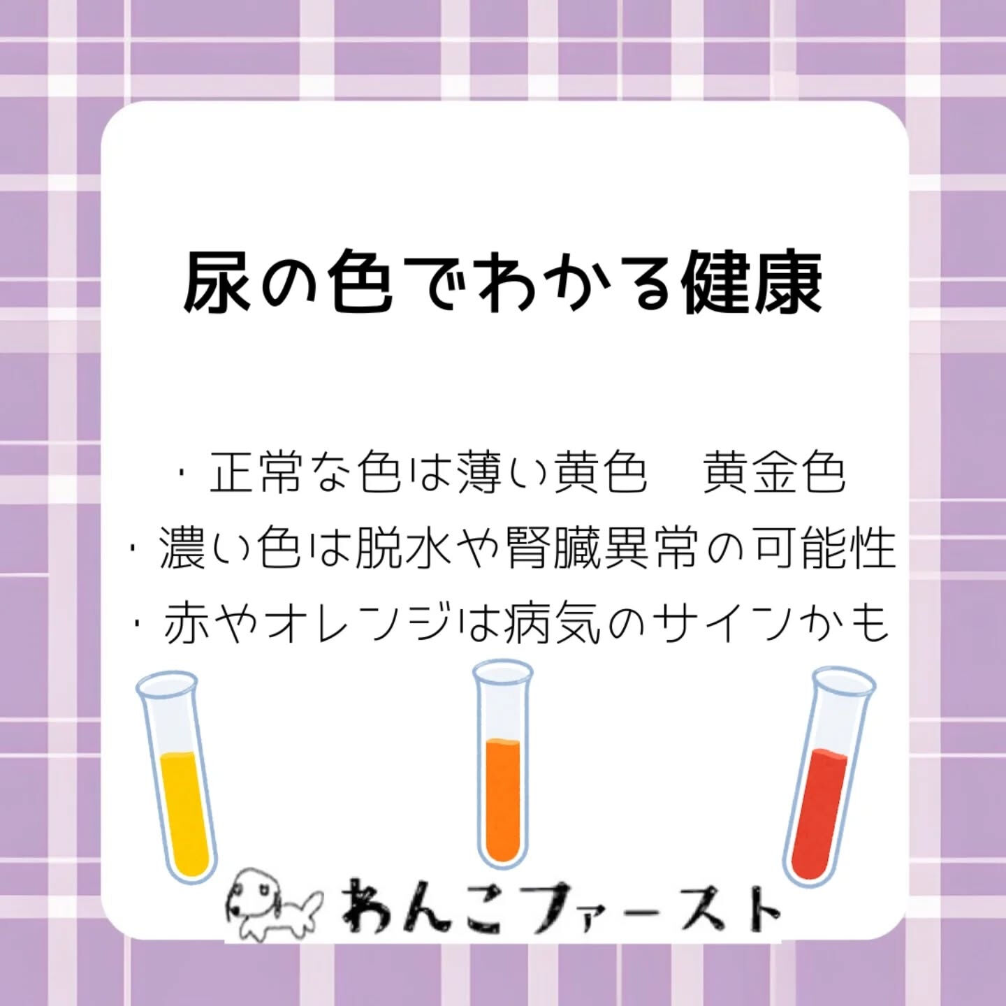 横浜市青葉区のペットシッターわんこファーストです♪