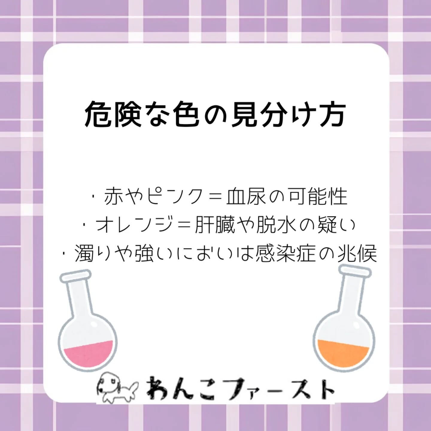 横浜市青葉区のペットシッターわんこファーストです♪