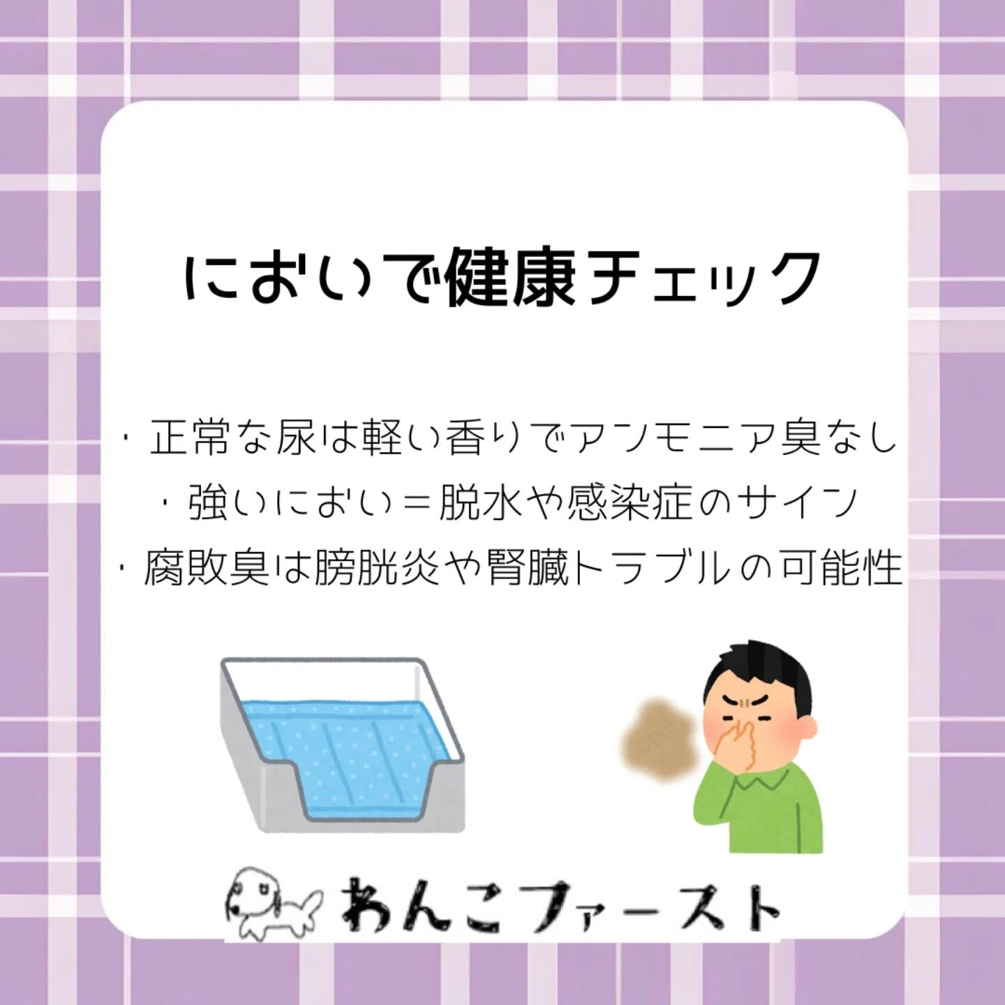 横浜市青葉区のペットシッターわんこファーストです♪