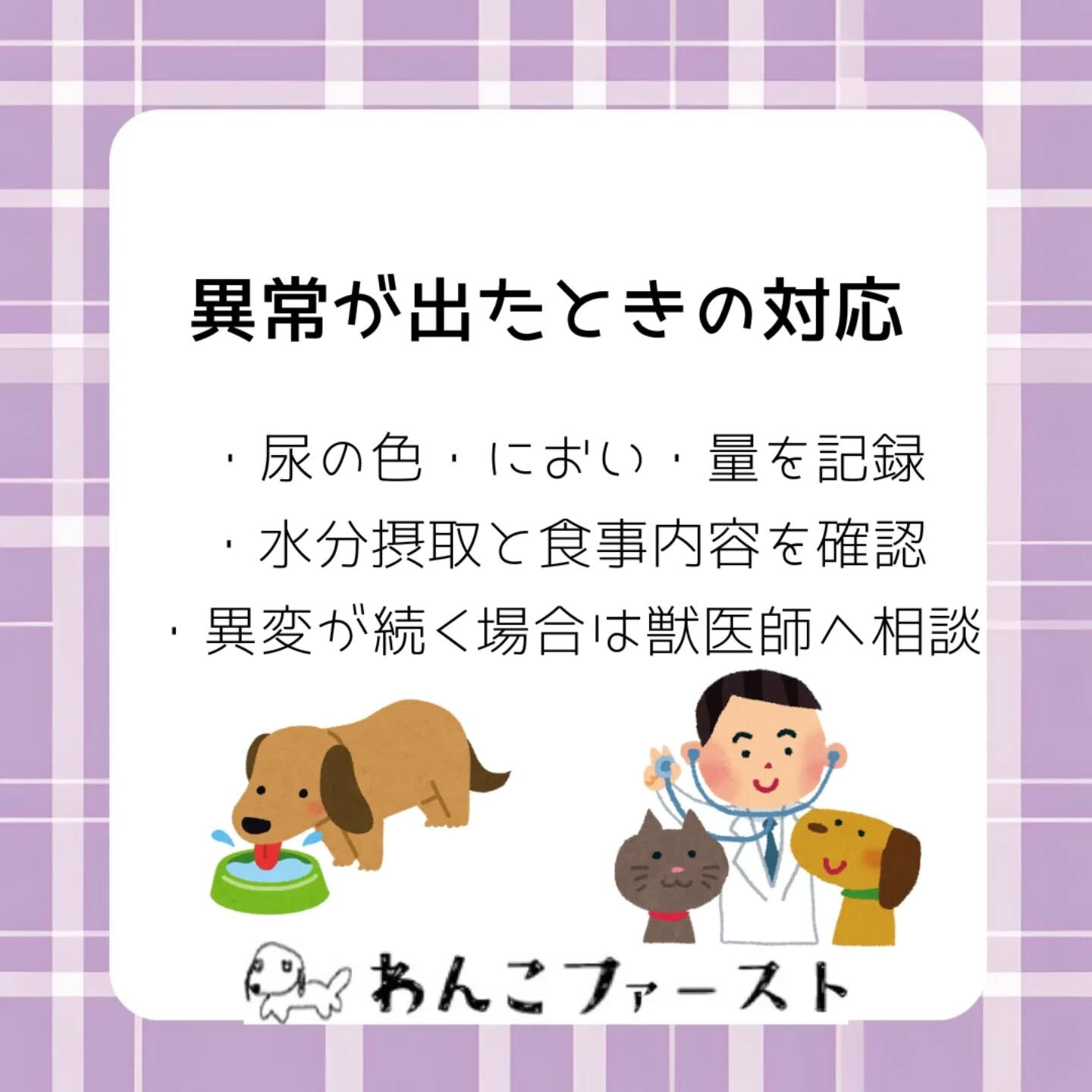 横浜市青葉区のペットシッターわんこファーストです♪