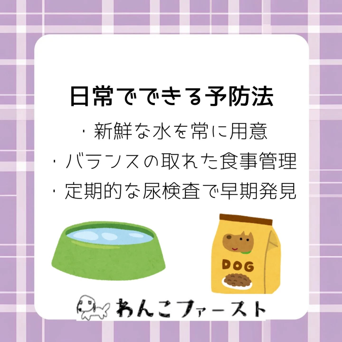 横浜市青葉区のペットシッターわんこファーストです♪