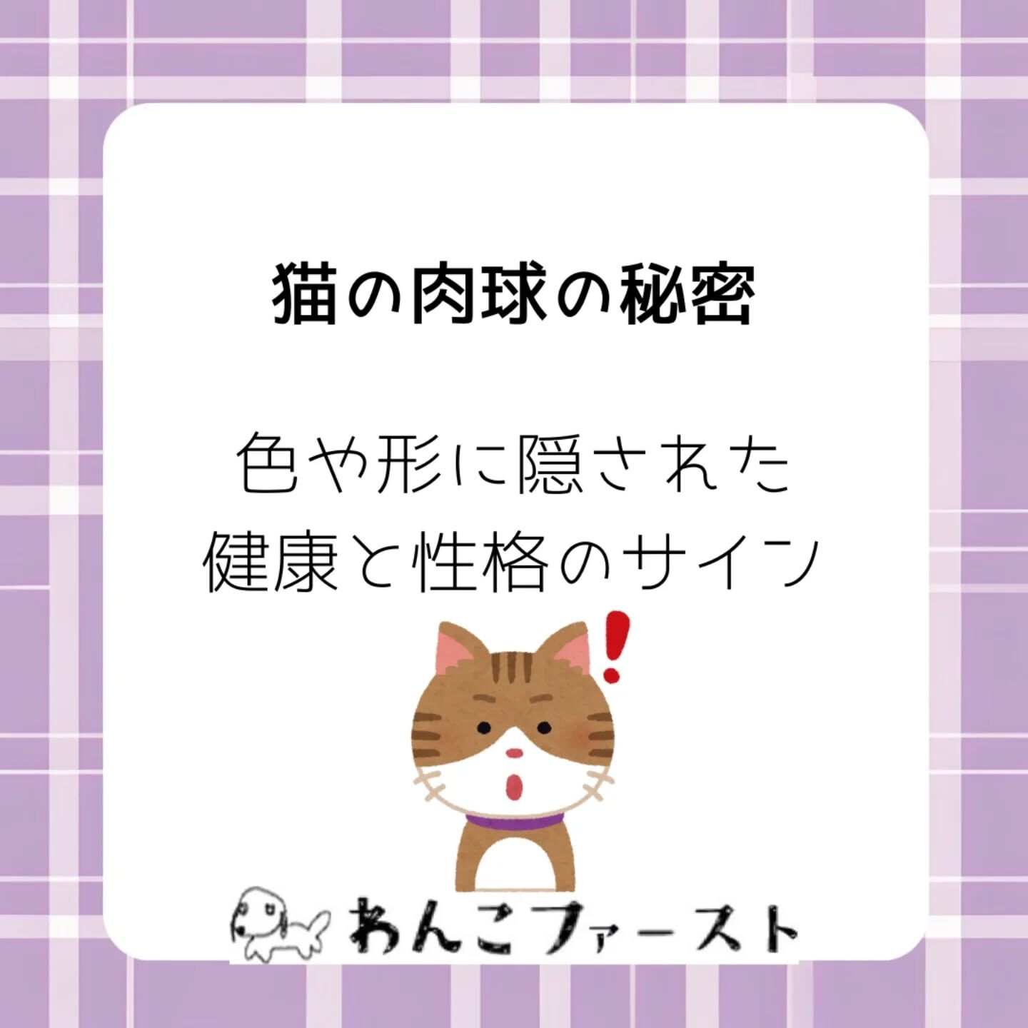 横浜市青葉区のペットシッターわんこファーストです♪