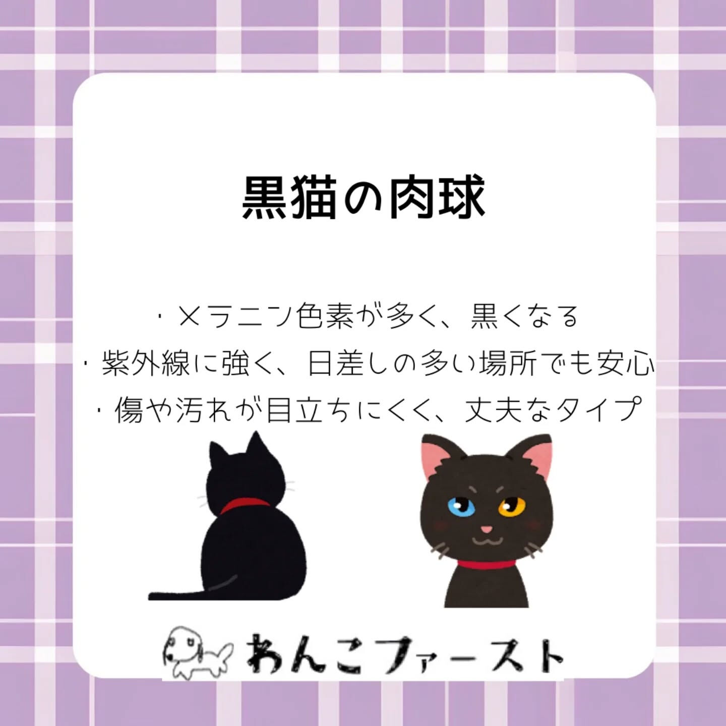 横浜市青葉区のペットシッターわんこファーストです♪