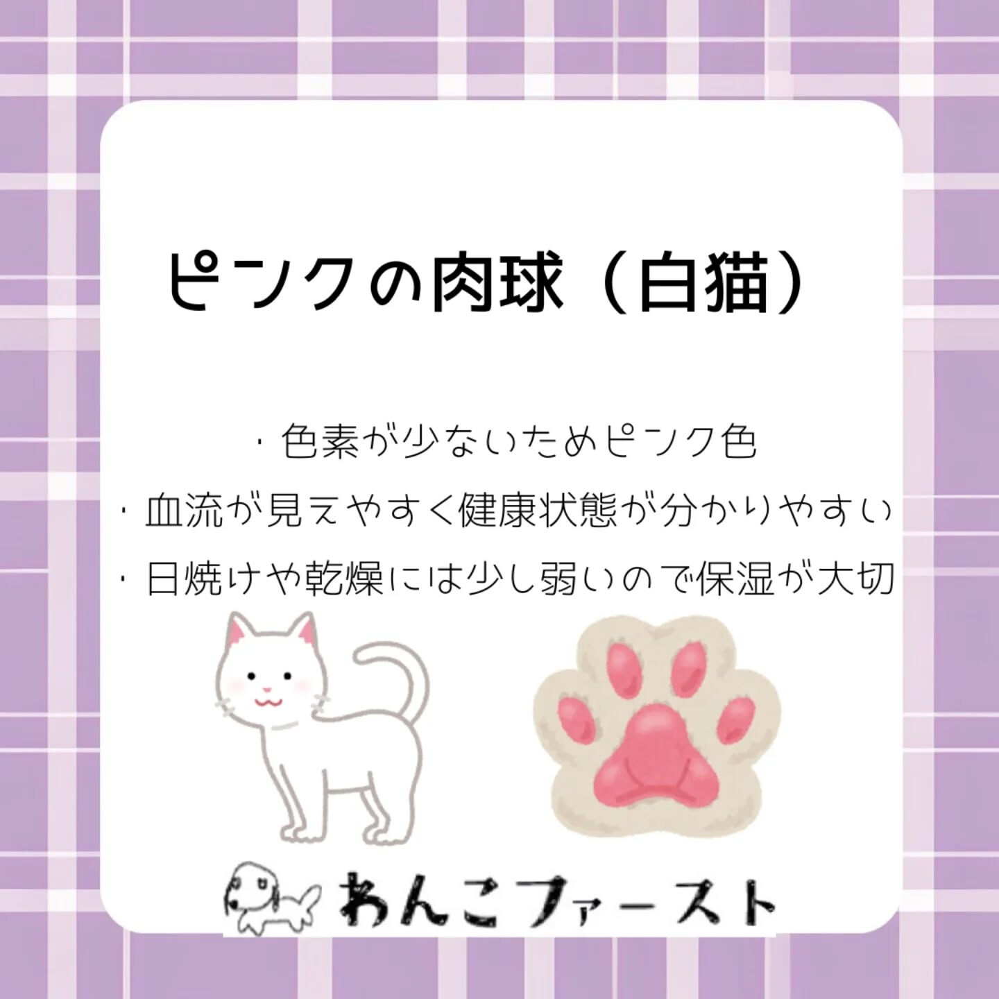 横浜市青葉区のペットシッターわんこファーストです♪