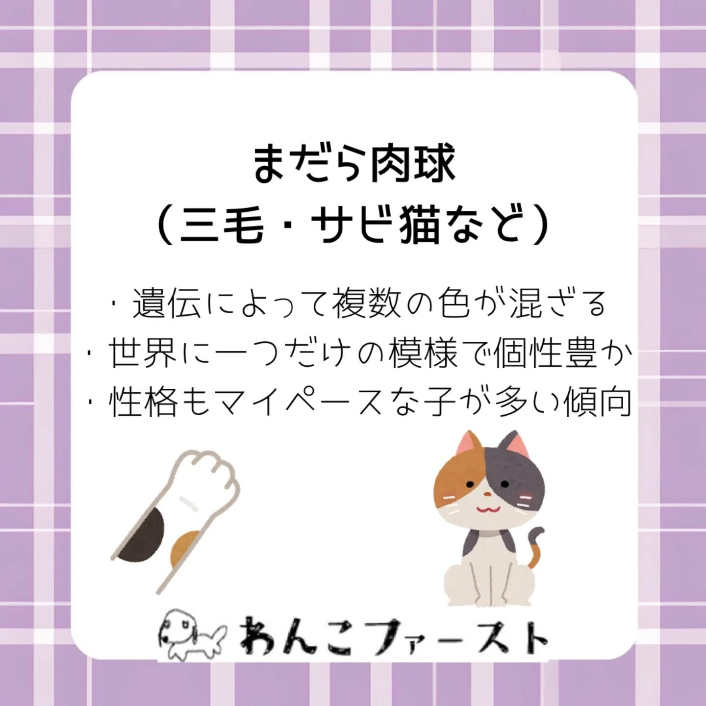 横浜市青葉区のペットシッターわんこファーストです♪