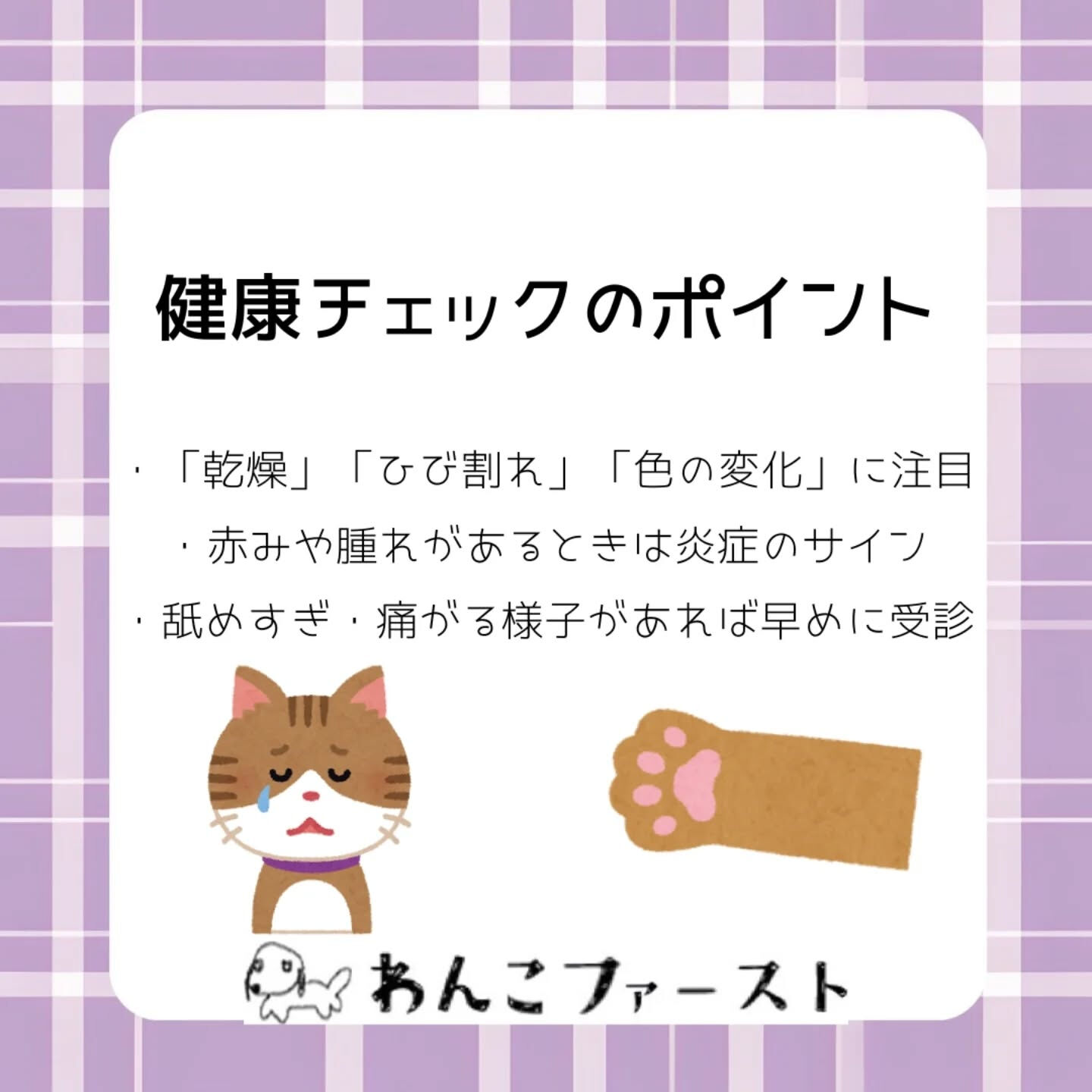 横浜市青葉区のペットシッターわんこファーストです♪