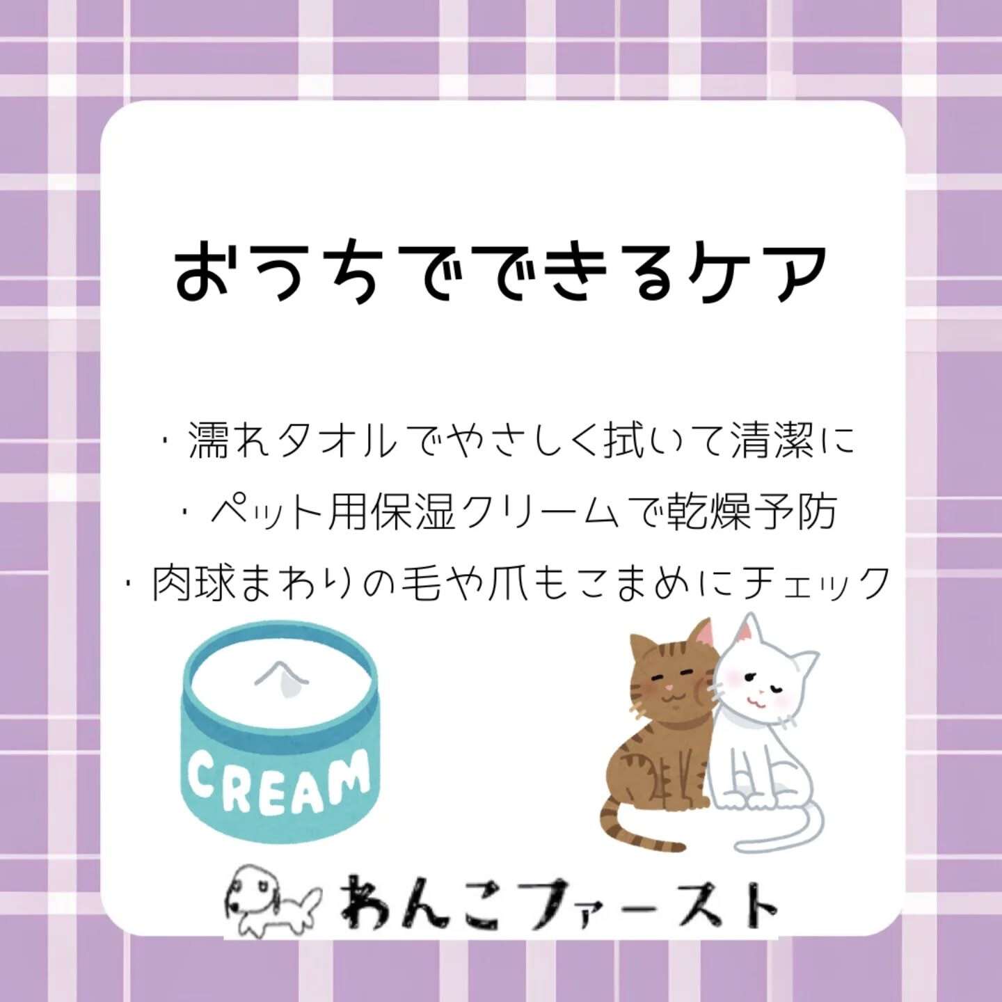 横浜市青葉区のペットシッターわんこファーストです♪