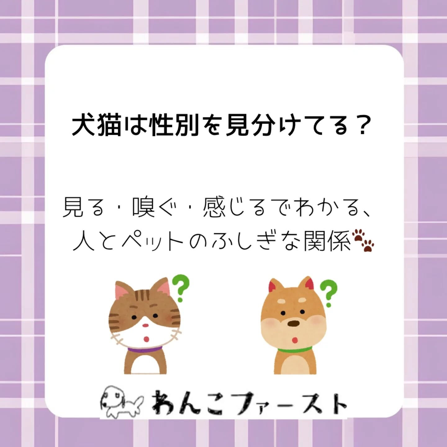 横浜市青葉区のペットシッターわんこファーストです♪