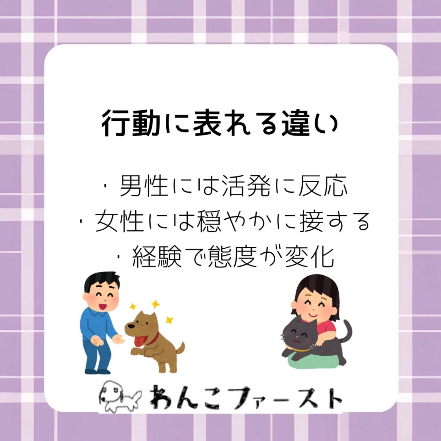 横浜市青葉区のペットシッターわんこファーストです♪