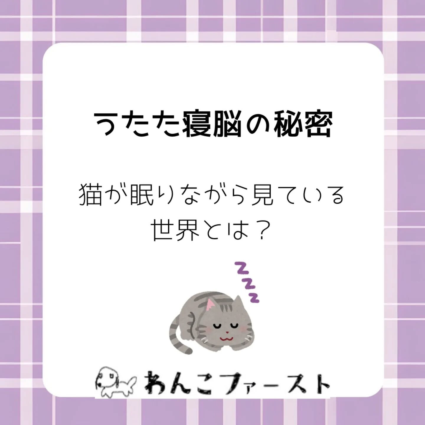 横浜市青葉区のペットシッターわんこファーストです♪