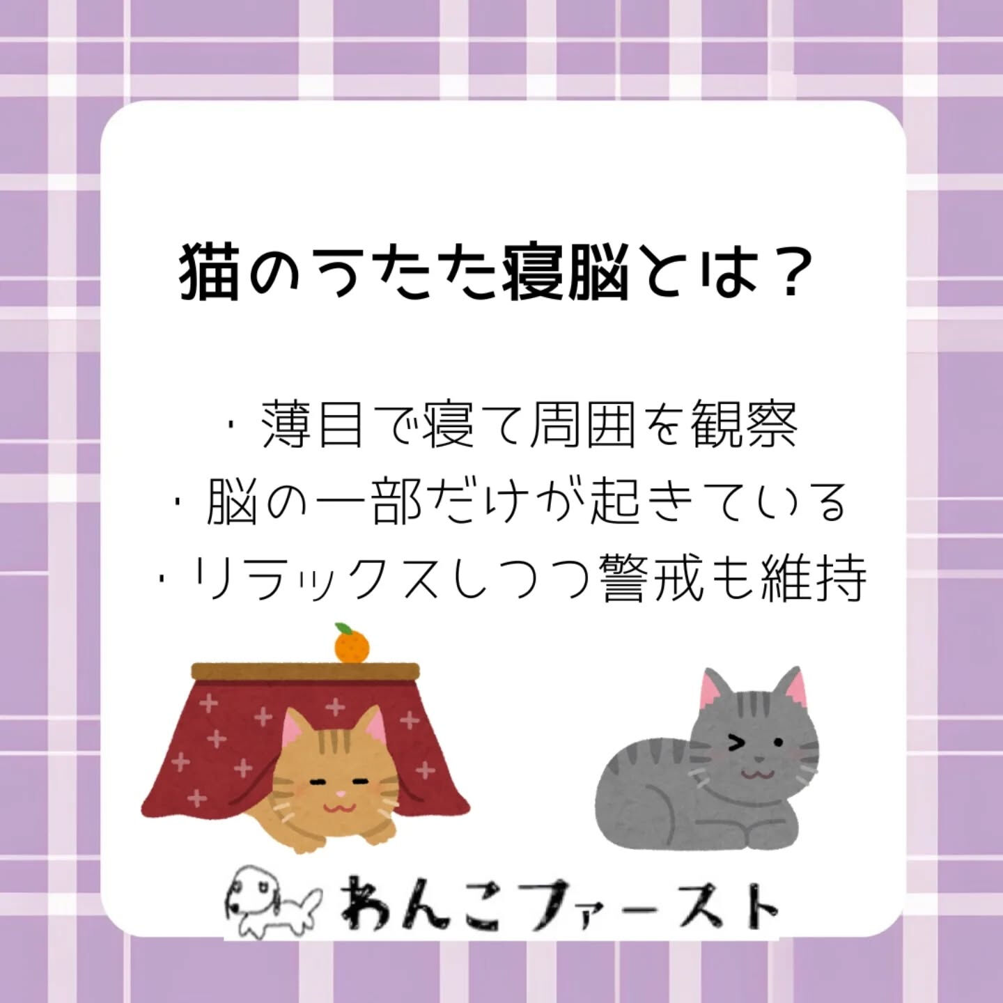 横浜市青葉区のペットシッターわんこファーストです♪