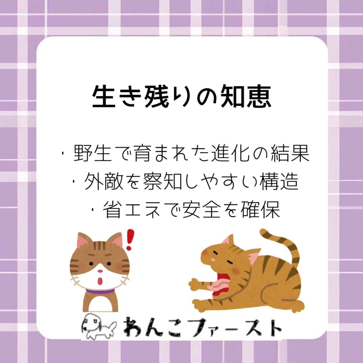 横浜市青葉区のペットシッターわんこファーストです♪