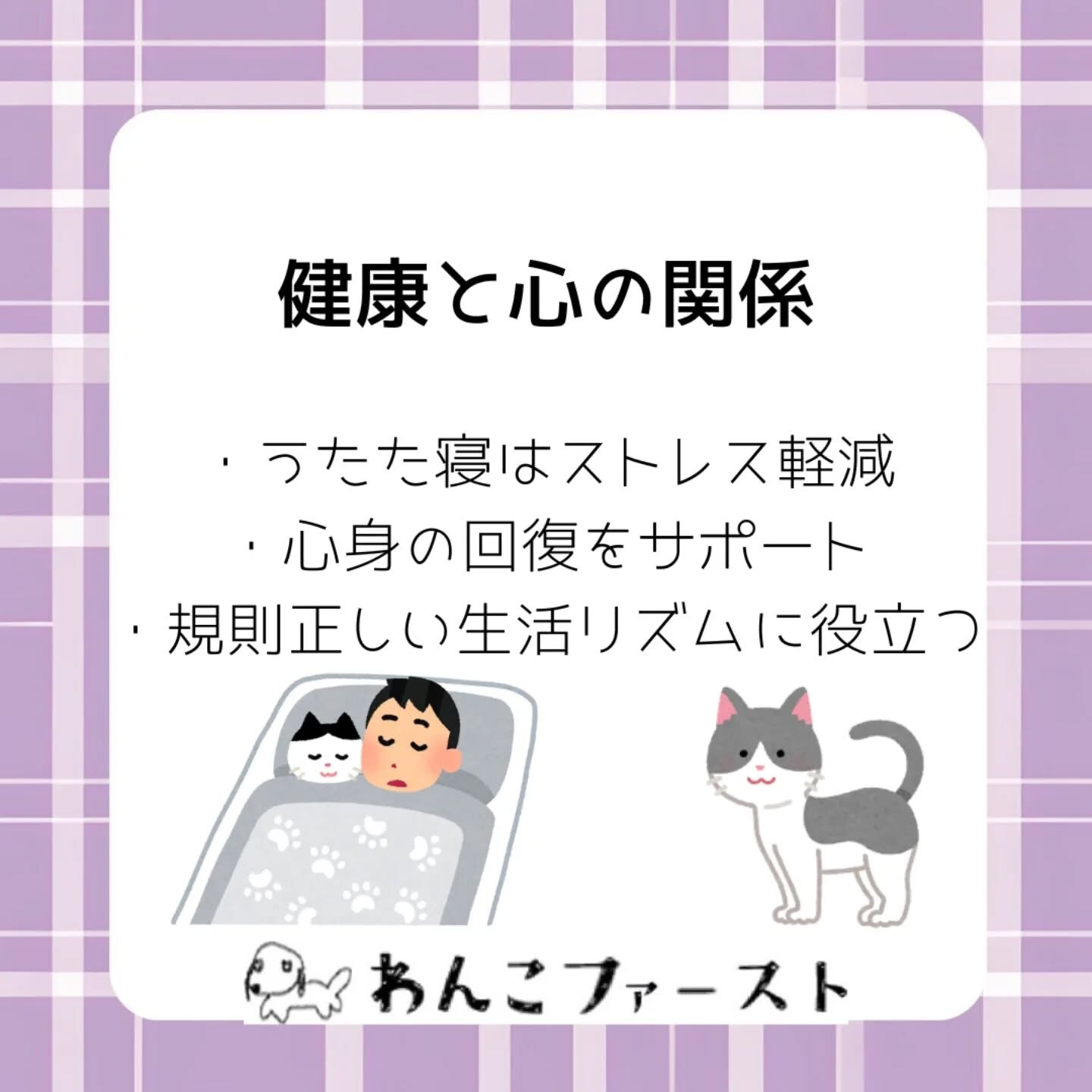 横浜市青葉区のペットシッターわんこファーストです♪