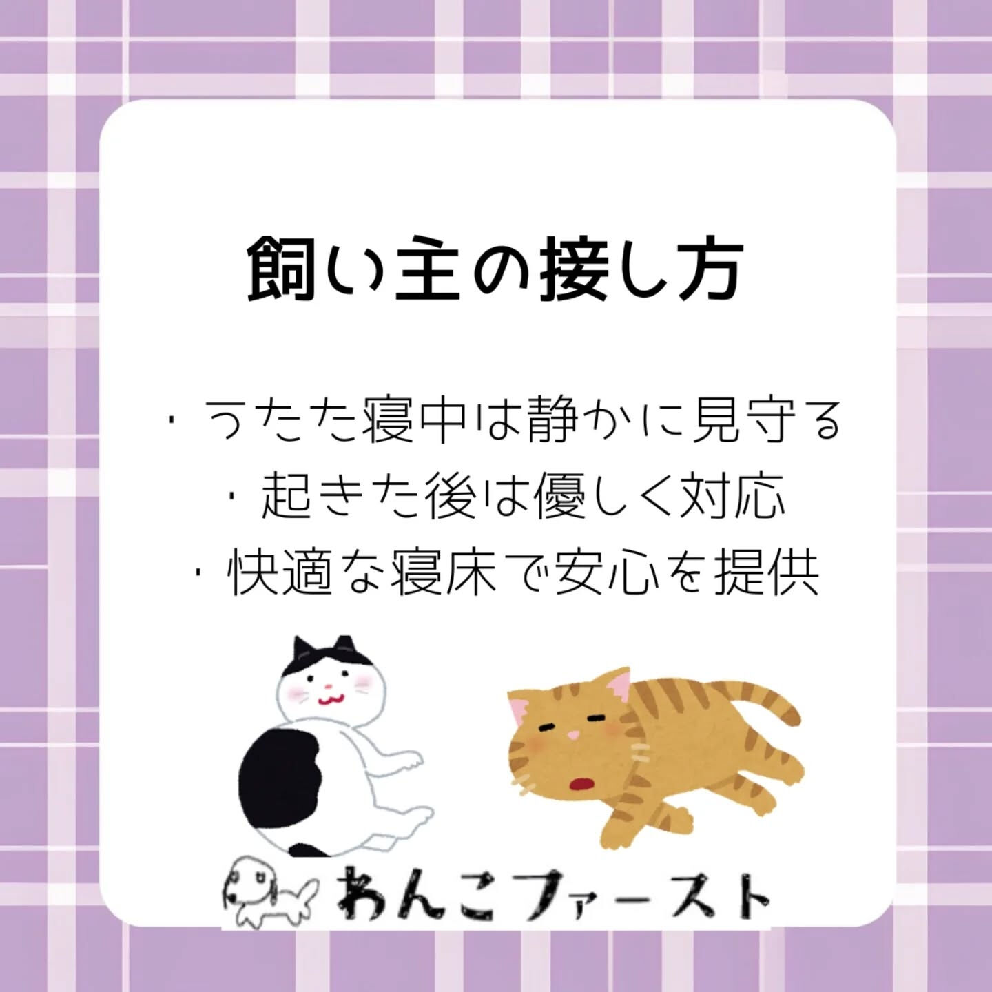 横浜市青葉区のペットシッターわんこファーストです♪