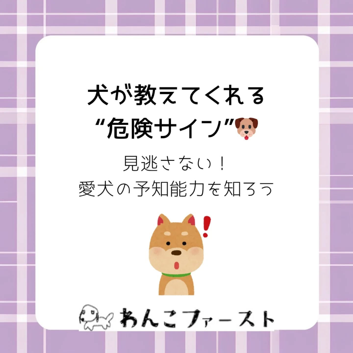 横浜市青葉区のペットシッターわんこファーストです♪