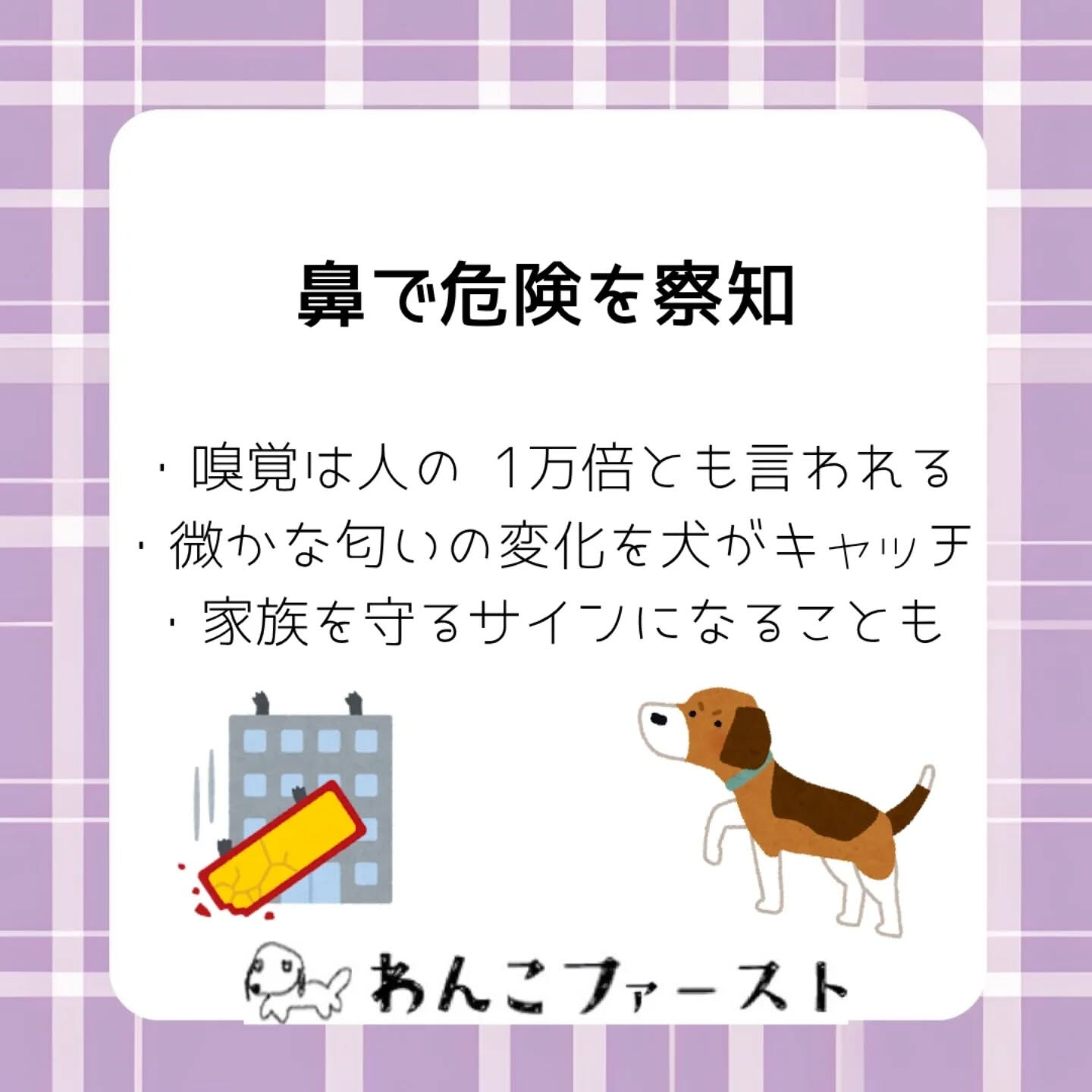 横浜市青葉区のペットシッターわんこファーストです♪