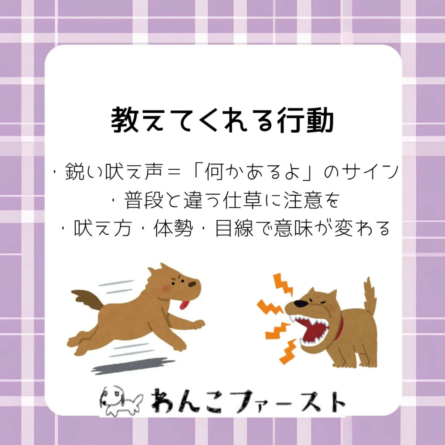 横浜市青葉区のペットシッターわんこファーストです♪