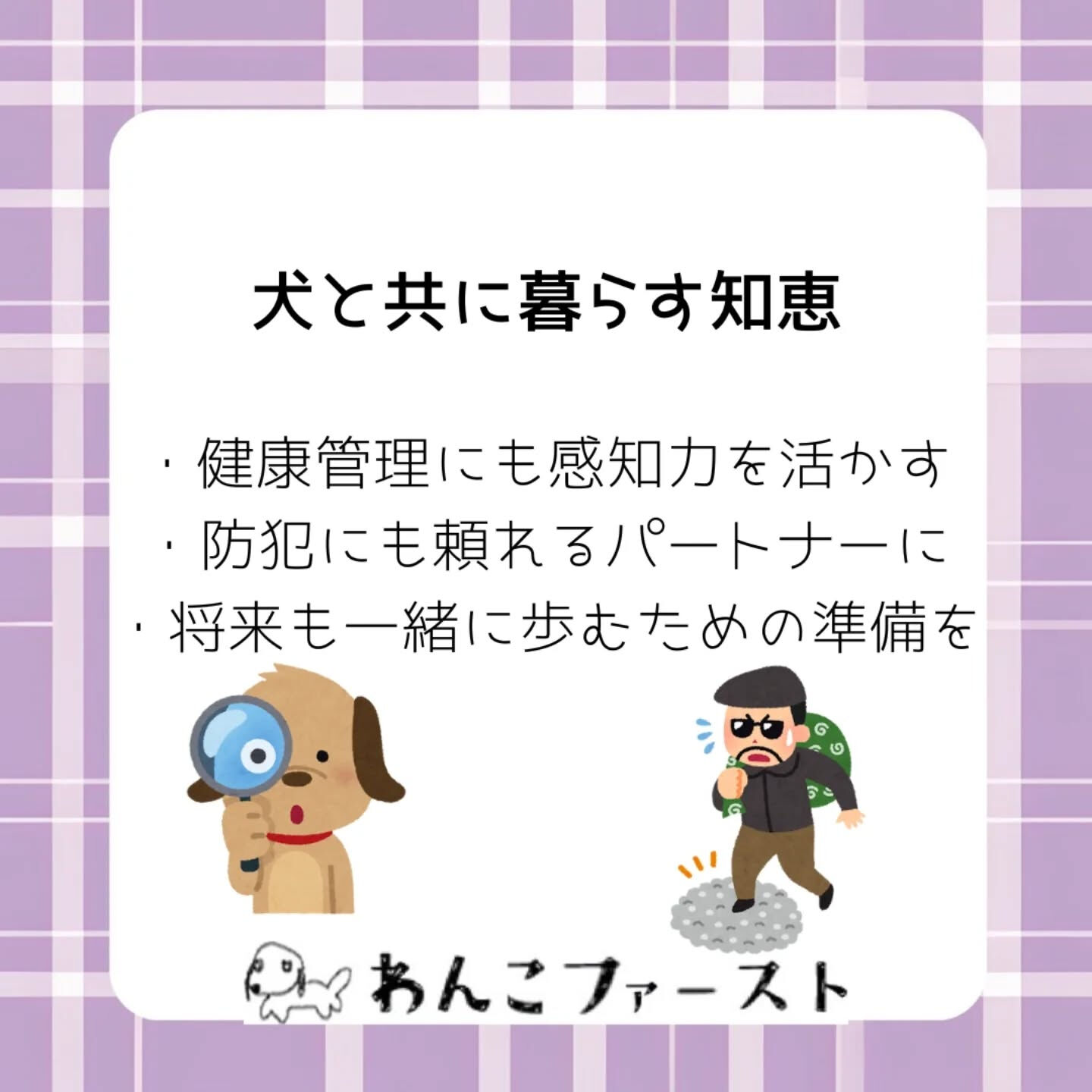 横浜市青葉区のペットシッターわんこファーストです♪