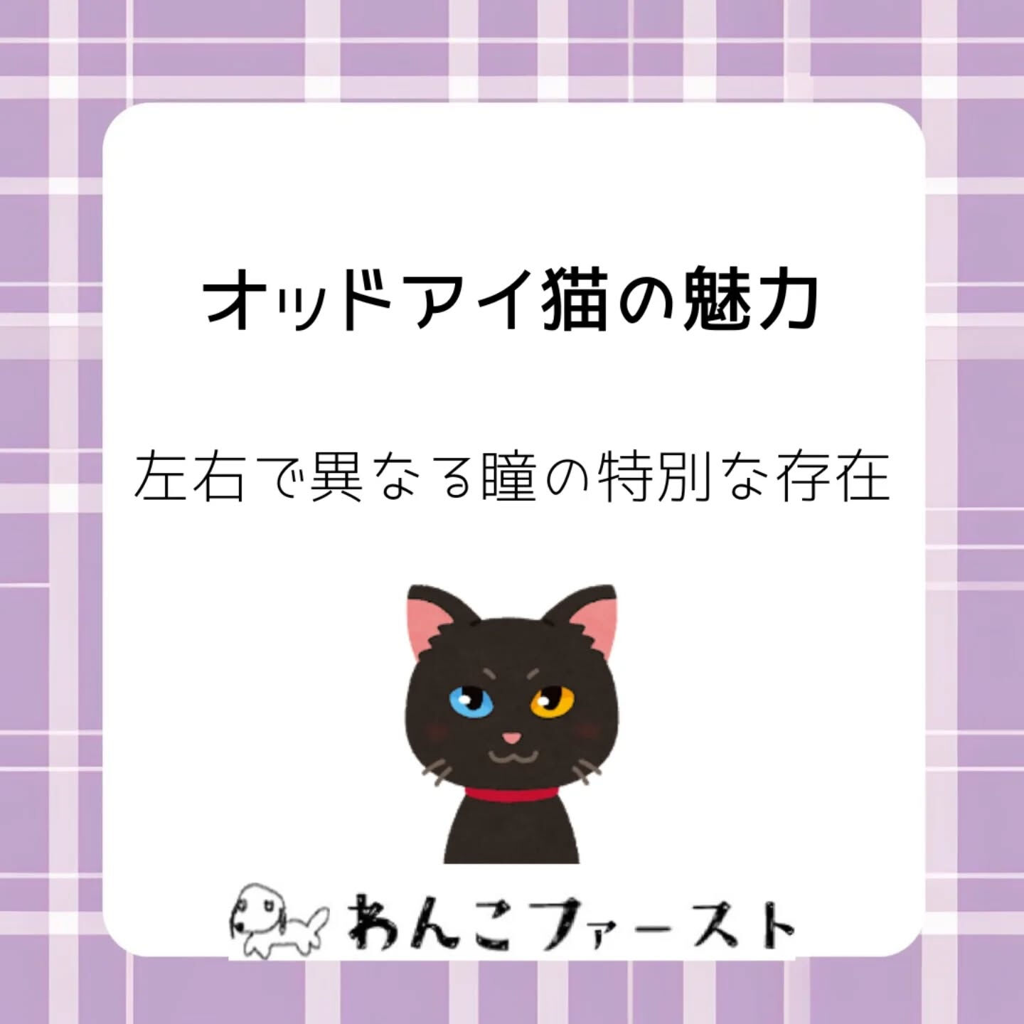 横浜市青葉区のペットシッターわんこファーストです♪