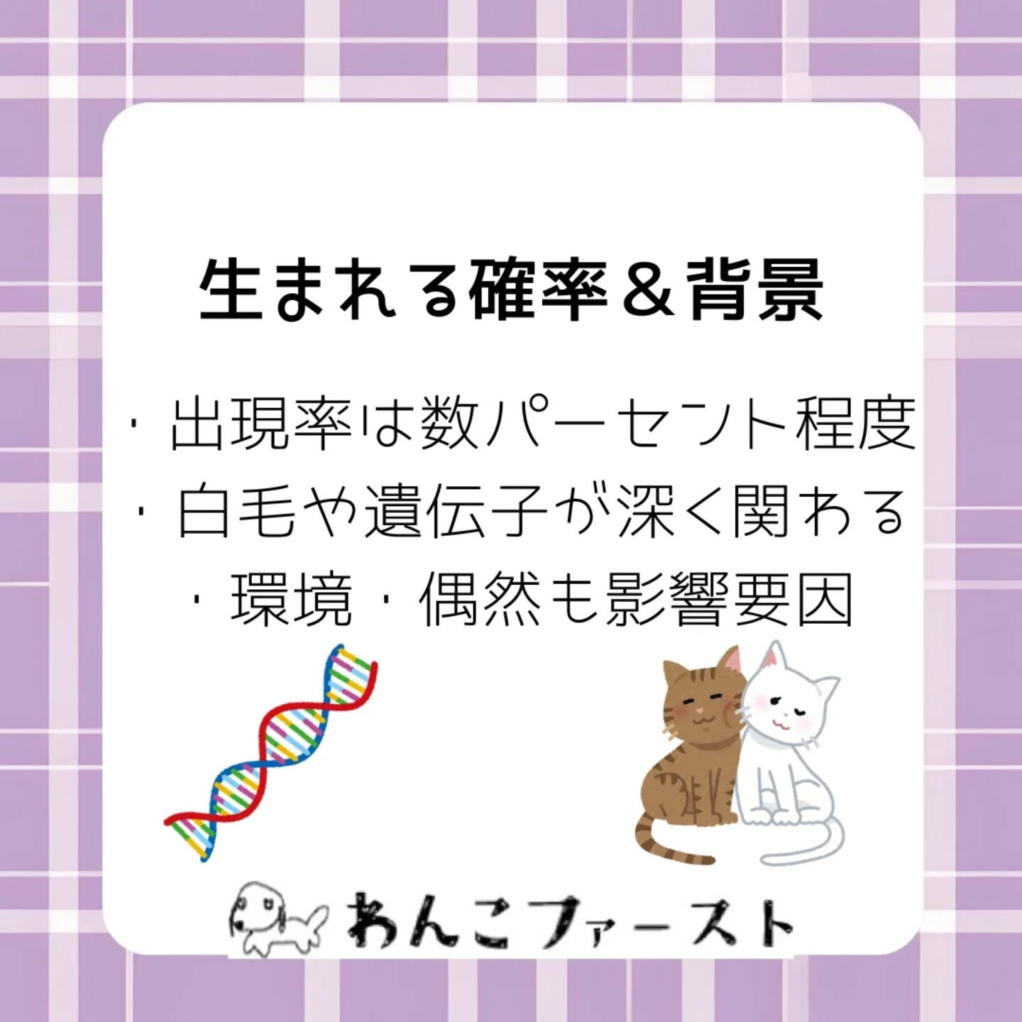 横浜市青葉区のペットシッターわんこファーストです♪