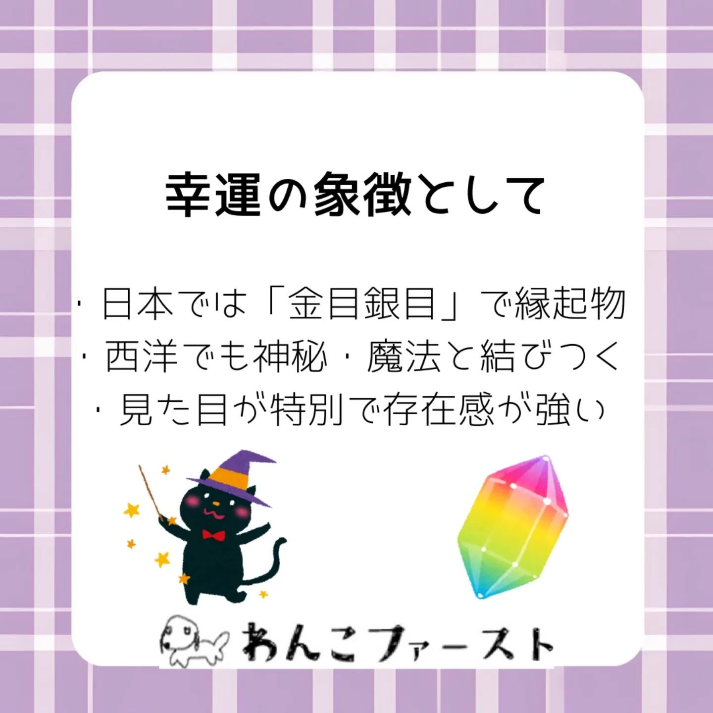 横浜市青葉区のペットシッターわんこファーストです♪